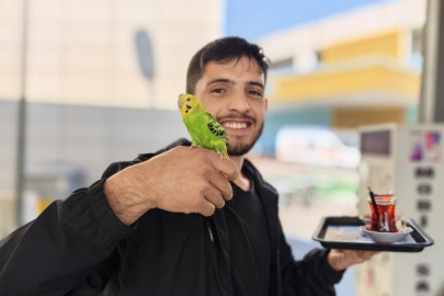 Çay servisi İbiş'ten