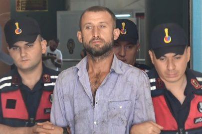 Ormanı yakıp mahkemede "Orman sevdalısıyım" diyen sanığa 8 yıl hapis