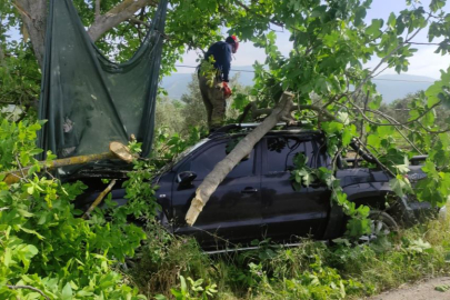 Bursa'da kontrolden çıkan kamyonet ağaca çarptı