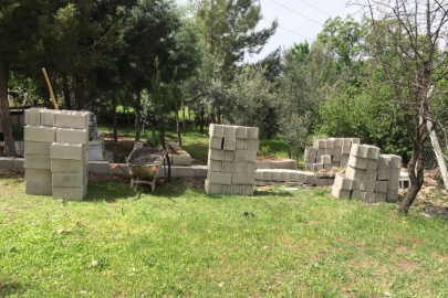 Toprak hırsıyla mezarlığı tahrip ettiler