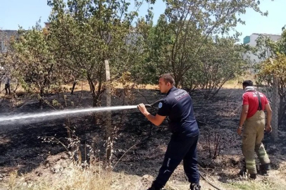 Bursa Yolçatı'da yeniden yangın başladı