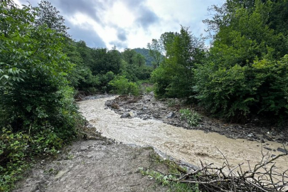 Ordu'da üç ilçeyi sel vurdu: 1 ölü