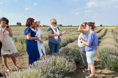 Kadın girişimcinin lavanta bahçesi ilgi görüyor