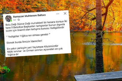 'Dağ' tartışmasına 'Yedigöller' de eklendi... Baltacı: Yedigöller Yığılca’nın olması gerekir