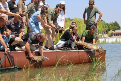 Doğa tutkunları Gölpark Fest'te buluştu