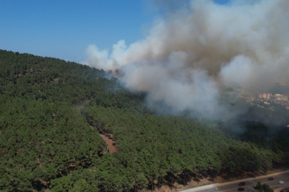 Pendik  Aydos'da  Orman  yangını
