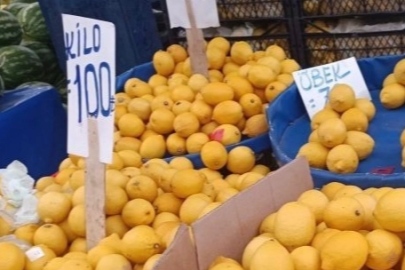 Limon üreticisinin sesine duyarsızlık fahiş fiyatlara neden oldu