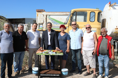 Gemlik Belediyesi'nde sokak hayvanları için seferberlik