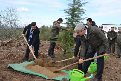 Bursa'da Denetimli Serbestlik Yükümlüleri Ağaç Dikti...