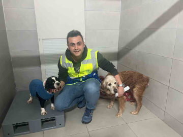 Bursa Büyükşehir, bayramda da can dostların yanında