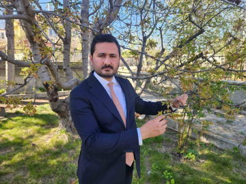 "Kraliyet kirazı" bu yıl çok az olacak