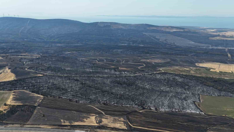 Tekirdağ’da başlayarak Çanakkale’ye ulaşan orman yangınında yanan yerler dron ile görüntülendi