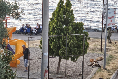 Gemlik Belediyesi Kurşunlu’yu Gözden mi Çıkardı?
