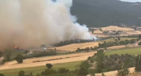 Bursa’da orman yangınına havadan ve karadan müdahale