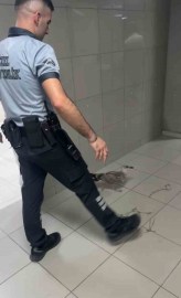 Bursa’da bir martı acile uçarak girdi