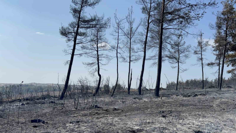 Gelibolu’da çıkan orman yangını tamamen kontrol altına alındı