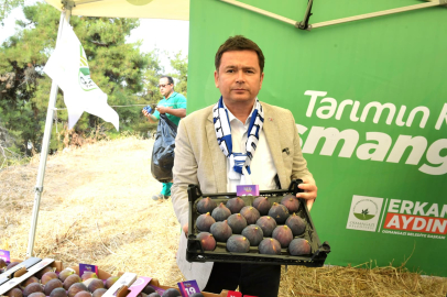 Osmangazi Belediyesi’nden Dünyaca Ünlü Siyah İncir Festivali