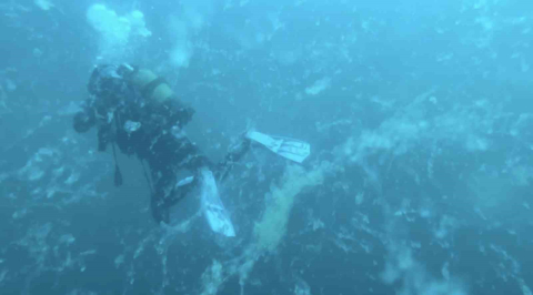 Çanakkale’de müsilaj alarmı