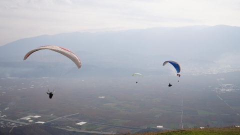 Yanan ormanlar için gökyüzünden paraşütle tohum yağdı