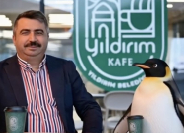 Penguen sürüden ayrılırken belediyeler boş durmadı