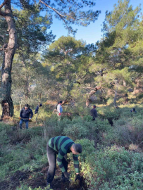 Köylülerden imece usulü temizlik etkinliği