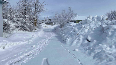 Karlıova’da kar yağışı etkisini sürdürüyor