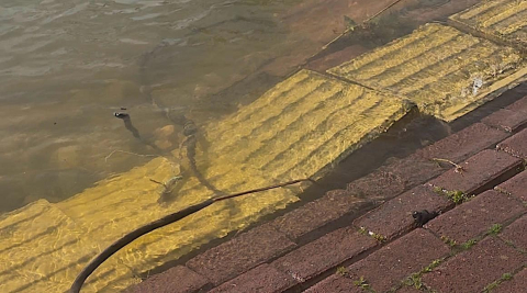 Yaren leyleğin köyü de yükselen göl sularından etkilendi
