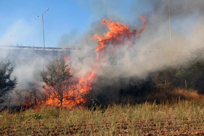 Trafik Cezalarında Büyük Eksik!