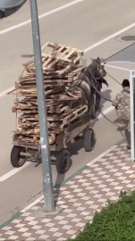 Bursa’da pes dedirten görüntüler