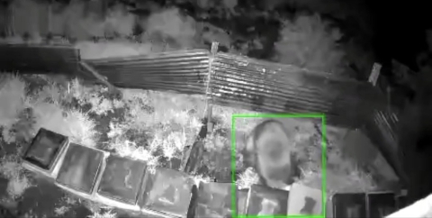 Kış uykusundan kalkan ayı, kovanlara saldırdı