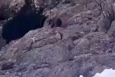 Kış uykusundan uyandı, kar üstünde yiyecek aradı
