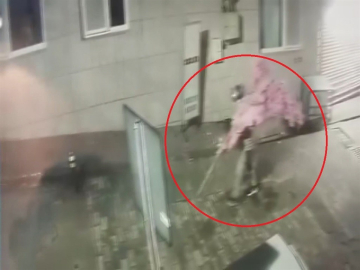 ‘Bir kafeden daha fazlası’ yazısını fark etti, ağacı sırtlayıp gitti O anlar kamerada