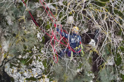 Dağda mahsur kalan keçi kurtarıldı
