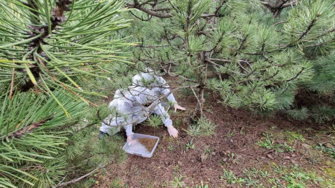 Doğanın sessiz kahramanları görev başında