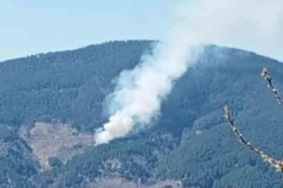 Nazilli’de orman yangını
