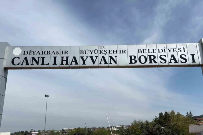 Diyarbakır Canlı Hayvan Borsası tadilata alındı
