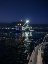Gemlik Körfezi’nde sardalya avcılığı başladı