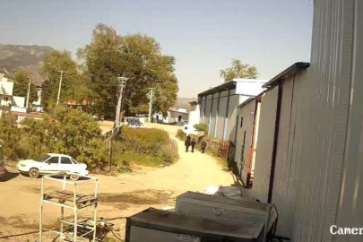 Gürsu'da Genç Kadın Avukatı Katledildi