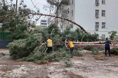 Birecik’te afetin yaraları sarılıyor
