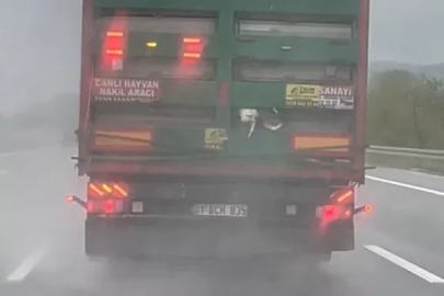 Otoyolda tırdan sarkan tavuklar kameraya yansıdı
