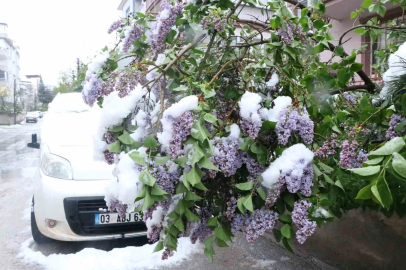 Çiçek açan ağaçlar kar altında kaldı
