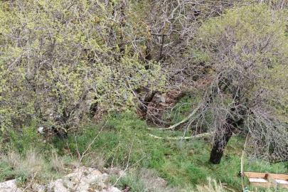 Isparta’da yüksekten düşen 36 yaşındaki kadın hayatını kaybetti
