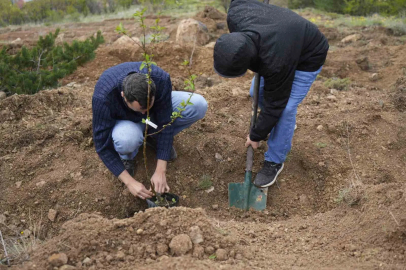 Gümüşhane Üniversitesi’nde akademisyenler için "meyve bahçesi" oluşturuldu
