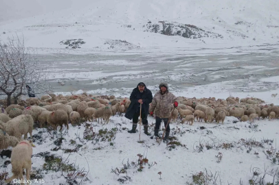Tipi vurdu heyelan yolu kapattı, 2 çoban ve yaklaşık 650 küçükbaş hayvan yaylada mahsur kaldı
