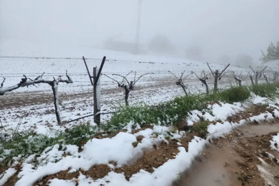 Yüksek kesimlerde ani hava değişimi üreticiyi zorladı
