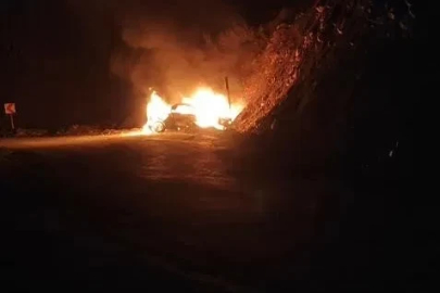 Hasköy-Mutki yolunda otomobil alev topuna döndü
