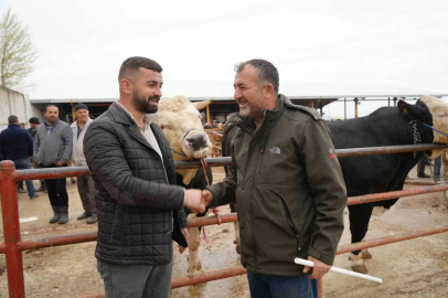 Kastamonu’da Kurban Bayramı hareketliliği: 850 kilogramlık tosun 340 bin liraya alıcı buldu
