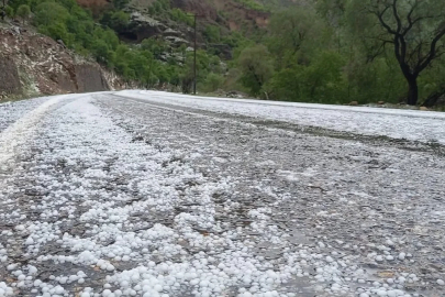 Çayırlı’da dolu yağışı etkili oldu
