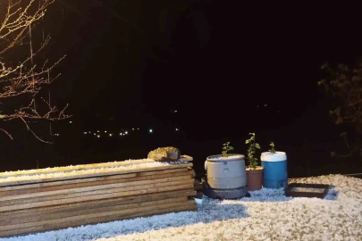 Elazığ’da dolu etkili oldu
