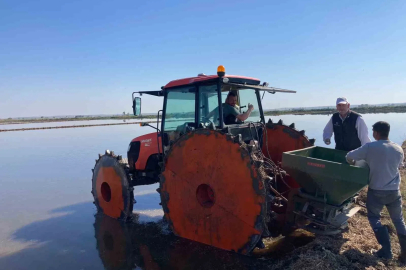 İpsala Ovası’nda çeltik ekim dönemi başladı
